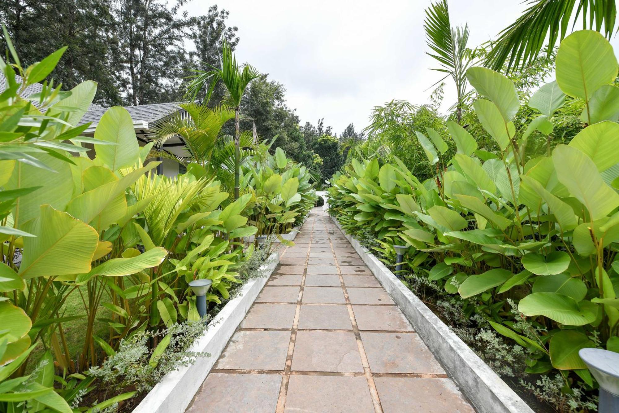 Inventree Aranya Resort & Spa Madikeri Dış mekan fotoğraf
